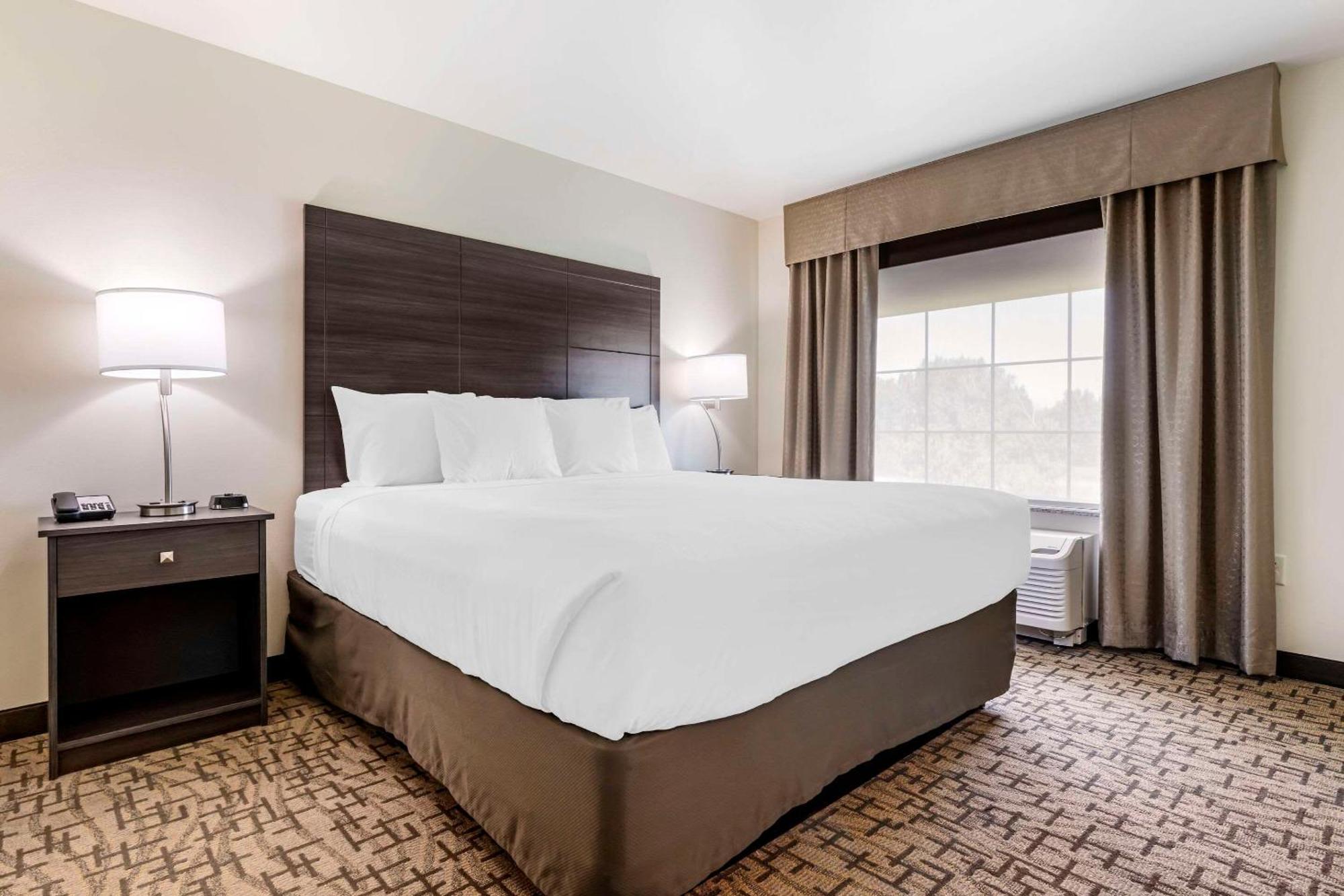Comfort Inn & Suites Medina Εξωτερικό φωτογραφία