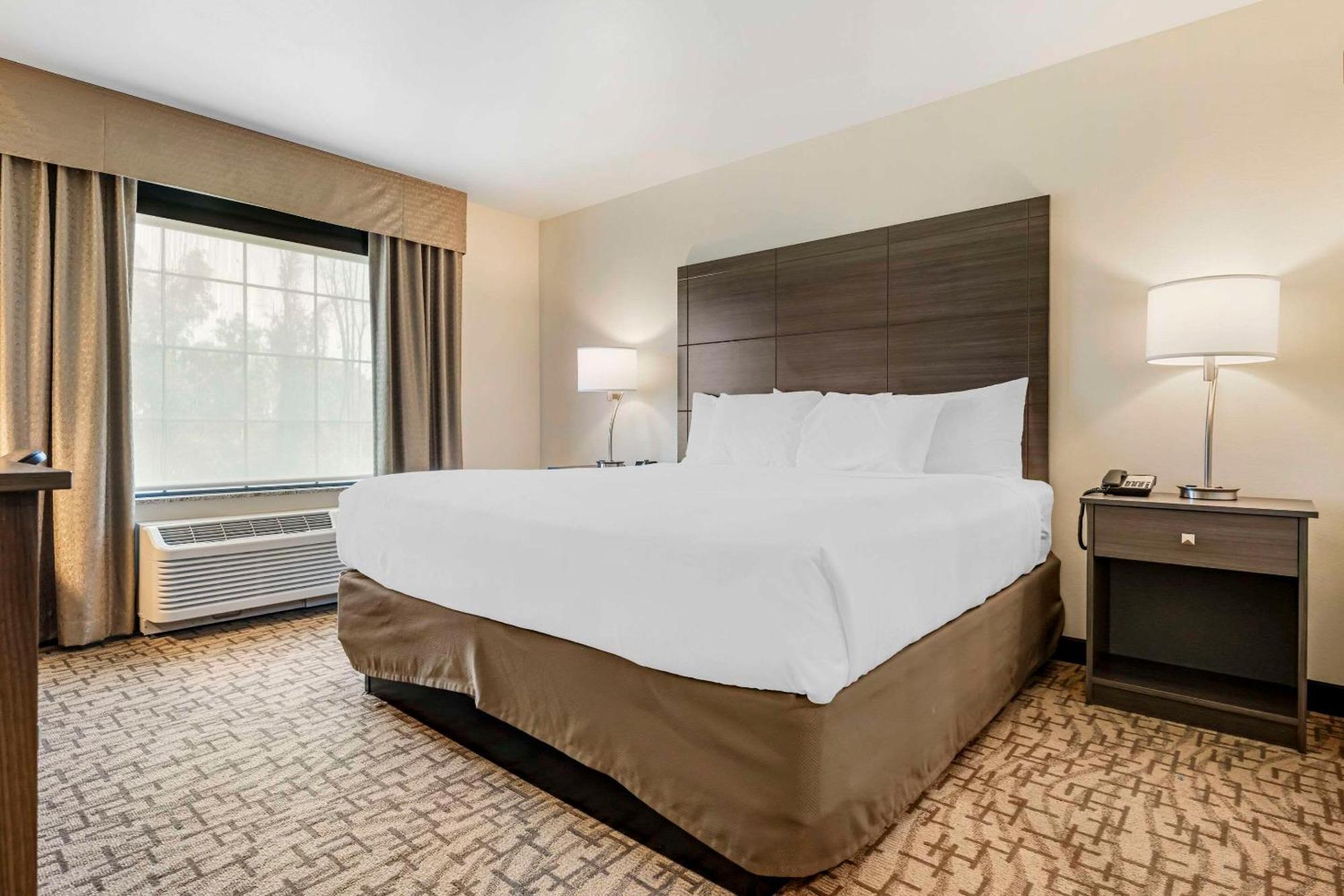Comfort Inn & Suites Medina Εξωτερικό φωτογραφία