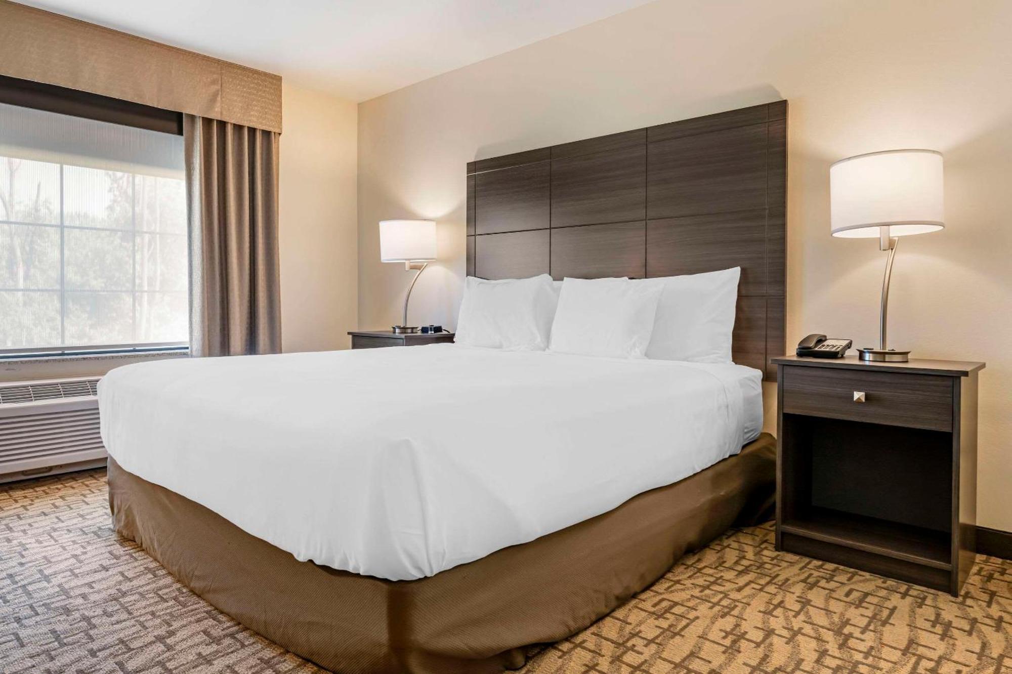 Comfort Inn & Suites Medina Εξωτερικό φωτογραφία
